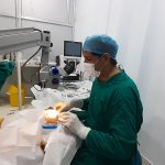 eye care